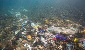 La Méditerranée est la mer la plus polluée d'Europe avec près de 200 déchets par km2