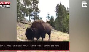 États-Unis : Un bison projette une fillette dans les airs (Vidéo)