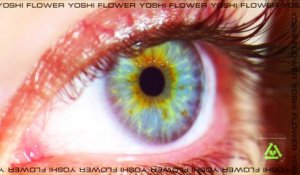 Yoshi Flower - Rolling Thunder