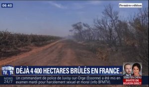 Incendies: 4400 hectares sont partis en fumée cet été en France, c'est déjà plus que l'an dernier