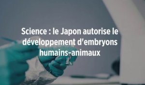Science : le Japon autorise le développement d'embryons humains-animaux