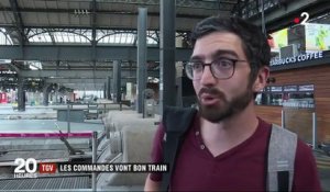 SNCF : la commande surprise de l'été
