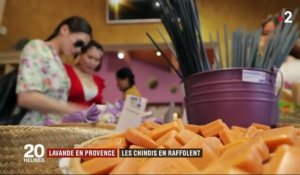 Provence : les Chinois raffolent des champs de lavande (grâce à une série télé)