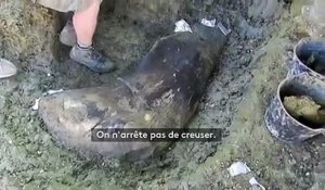 "On a la pièce la plus extraordinaire" : des paléontologues découvrent un énorme os de dinosaure près d'Angoulême