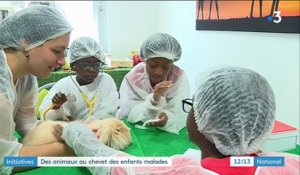 Santé : des animaux viennent en aide aux enfants malades