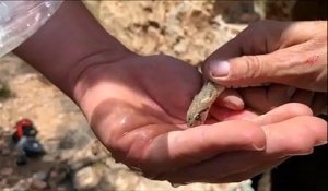 Il donne à boire à un serpent assoiffé... Adorable