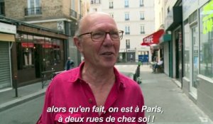 A Paris, les cris stridents des goélands font grincer des dents