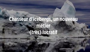 Chasseur d'icebergs, un nouveau métier (très) lucratif