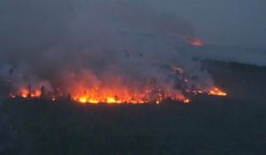 Incendies, déforestations ... les poumons verts du globe sont en danger