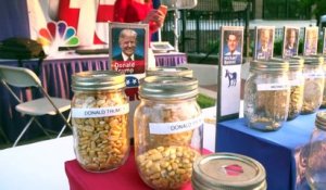 La foire agricole de l'Iowa, incontournable étape dans la course à la Maison Blanche