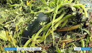 Rhône : la grêle a fait des dégâts