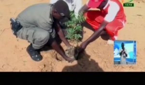 RTB/Le MPP organise une plantation d’arbres à Ouahigouya pour commémorer la disparition de l’ancien président Salifou Diallo