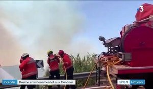 Incendie : drame environnemental aux Canaries