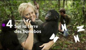Muriel Robin et Chanee sur la terre des Bonobos -  Bande annonce