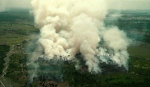 Incendies en Amazonie : le poumon vert de la planète part en fumée
