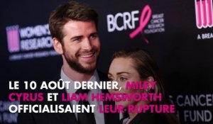 Miley Cyrus séparée de Liam Hemsworth, elle ne s’attendait pas au divorce