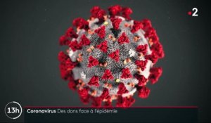 Coronavirus : un appel aux dons pour trouver le vaccin