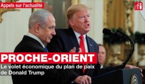 Proche-Orient : le volet économique du plan de paix de Donald Trump