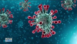Coronavirus : la planète entière en alerte