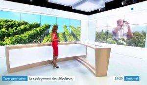 Vins français : le soulagement des viticulteurs après le compromis trouvé au G7 sur la taxe Gafa