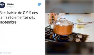 Gaz : Les tarifs réglementés en baisse au premier septembre