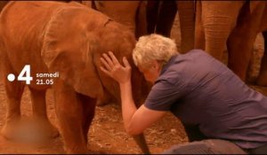 Muriel Robin et Chanee sur la terre des éléphants - Bande annonce