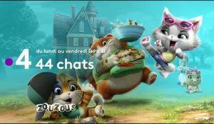 44 chats - Bande annonce