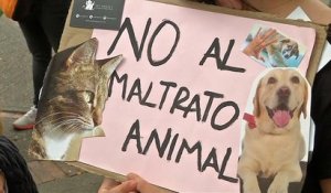Une marche pour la défense des animaux en Colombie