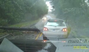 Un conducteur se prend un arbre en pleine tempête et évite le pire. Bon karma