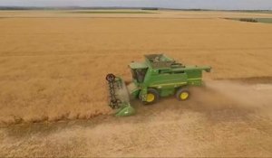 Changement climatique : l'agriculture européenne en danger
