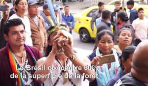 Manifestation d'indigènes de l'Equateur à Quito pour réclamer la protection de l'Amazonie
