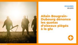 Allain Bougrain-Dubourg dénonce les quotas d'oiseaux piégés à la glu
