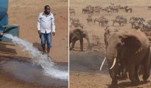 Un nouveau super-héros au Kenya livre de l'eau aux animaux pour contrer la sécheresse qui sévit