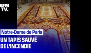 Un trésor du patrimoine sauvé des flammes de Notre-Dame: le tapis de "Louis-Philippe" va être restauré