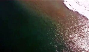 Un drone alerte un surfeur de la présence d'un requin