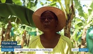 Chlordécone : une commission d'enquête créée en Martinique