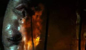 Apocalypse Now Final Cut - Extrait du  film - Les premières minutes