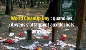 World CleanUp Day : quand les citoyens s'attaquent aux déchets sauvages