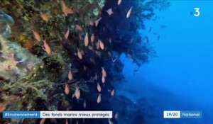 Environnement : des fonds marins mieux protégés en Corse