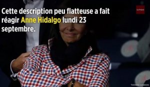 Saleté à Paris : pour Hidalgo, c'est un problème d'« éducation »