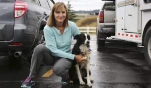 Une femme quitte son travail pour retrouver sa chienne perdue