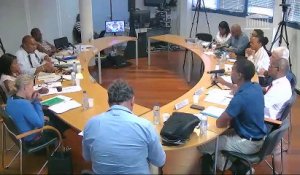 Impact du chlordécone et du paraquat : auditions en Guadeloupe (suite) - Samedi 21 septembre 2019