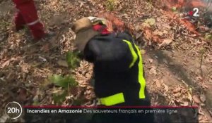 Incendies en Amazonie : des secouristes français en renfort