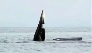 Ce que vous voyez là est en fait une baleine la gueule grande ouverte...