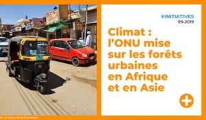 Climat : l’ONU mise sur les forêts urbaines en Afrique et en Asie