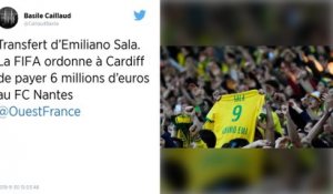 Transfert d’Emiliano Sala. La FIFA ordonne à Cardiff de payer 6 millions d’euros au FC Nantes