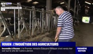 Les éleveurs laitiers de Rouen obligés de consigner leur lait