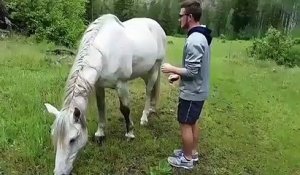 Un homme essaye de monter sur un cheval ! LOL