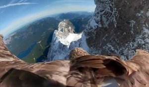 Un aigle pour filmer la fonte des glaciers alpins