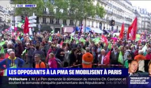 PMA pour toutes: plusieurs centaines de manifestants se rassemblent à Paris avant de manifester contre le projet de loi